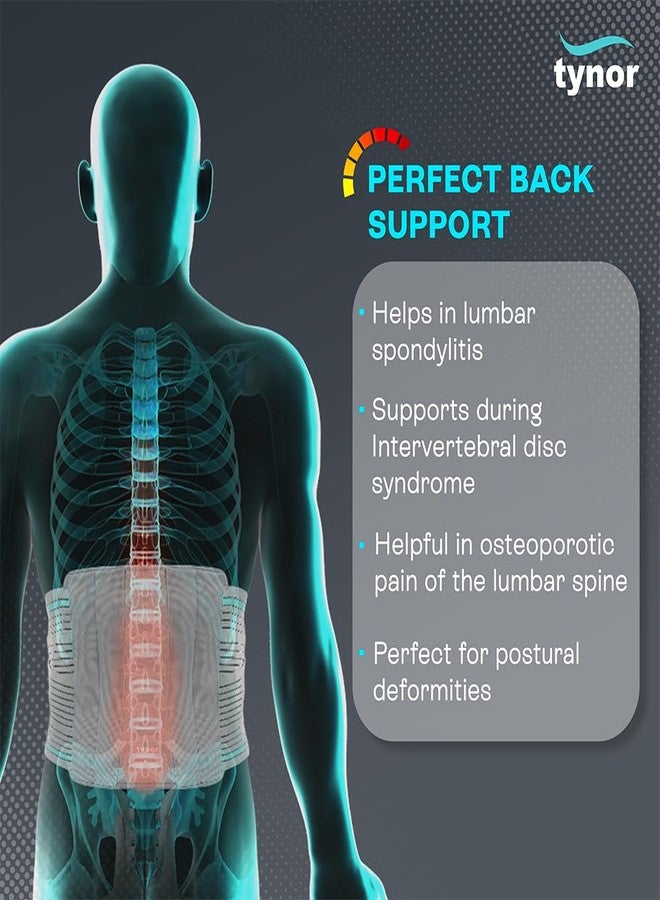 TYNOR Contoured Lumbar Sacral Support, Grey, XXL, 1 Unit - Image 2